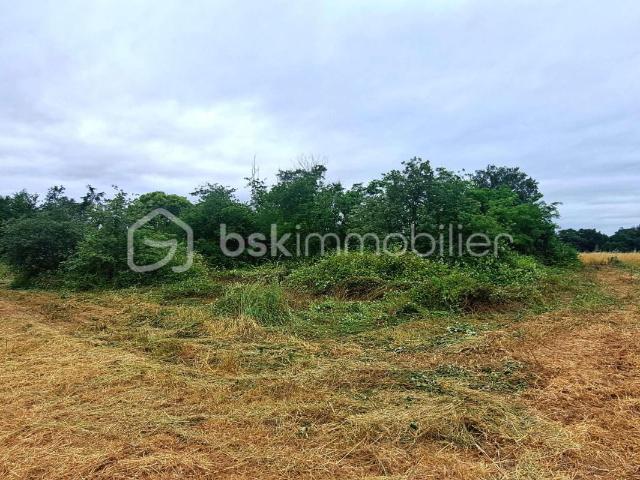 Terrain vente à Muret, Peyssies