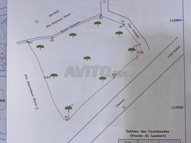 Propriété vente à L'Oriental