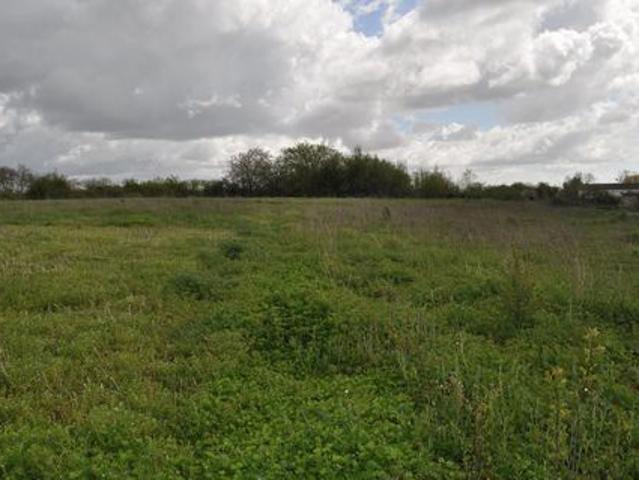 Terrain vente à Saint-Jean-d'Angély, Asnières-la-giraud