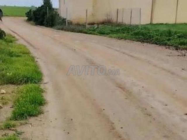 Propriété vente à Settat, Gharb-Chrarda-Beni Hssen