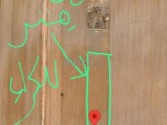 Propriété location à Berrechid, Gharb-Chrarda-Beni Hssen