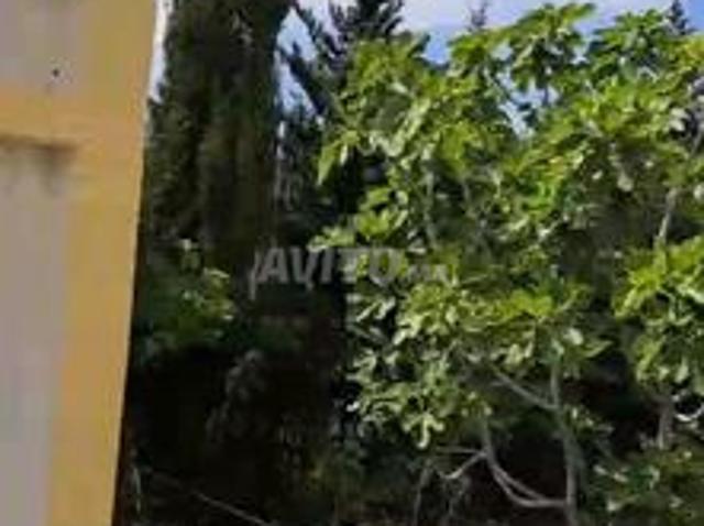 Propriété vente à Tangero, Tanger-Tétouan