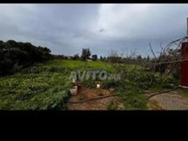 Propriété vente à Had Soualem, Gharb-Chrarda-Beni Hssen