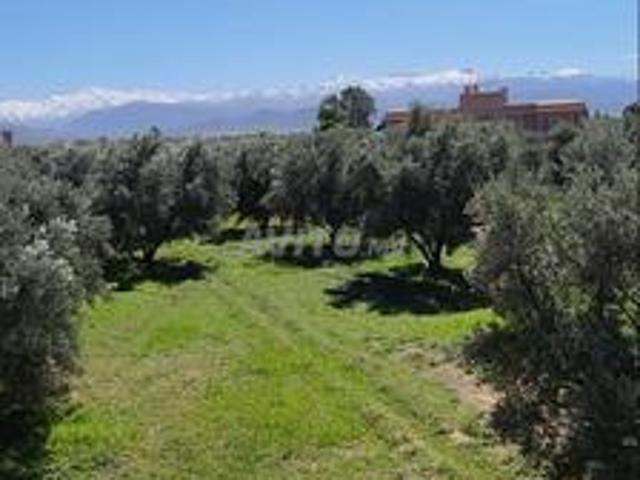 Propriété vente à Al Haouz, L'Oriental