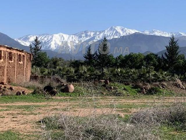 Propriété vente à Al Haouz, L'Oriental