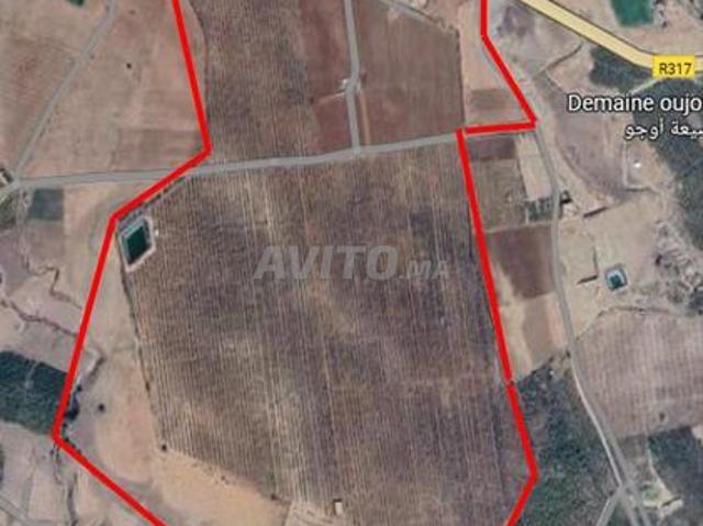 Propriété vente à Mellal