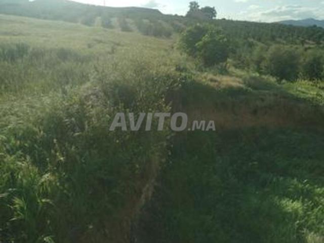 Propriété vente à Ain Taoujdat