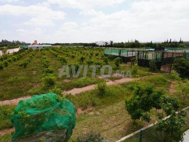 Propriété vente à Agadir, Oued ed Dahab-Lagouira