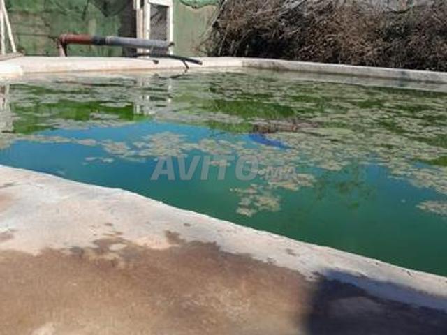 Propriété vente à Agadir, Oued ed Dahab-Lagouira