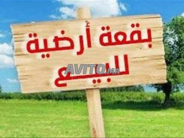 Propriété vente à Zmamra, Gharb-Chrarda-Beni Hssen