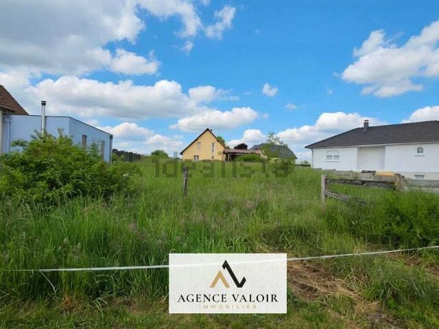 Terrain vente à Falkwiller, Collectivité européenne d'Alsace