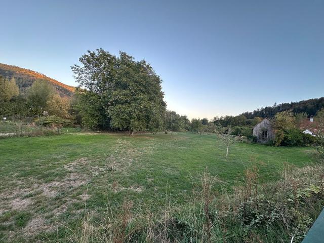 Terrain vente à Fellering, Collectivité européenne d'Alsace