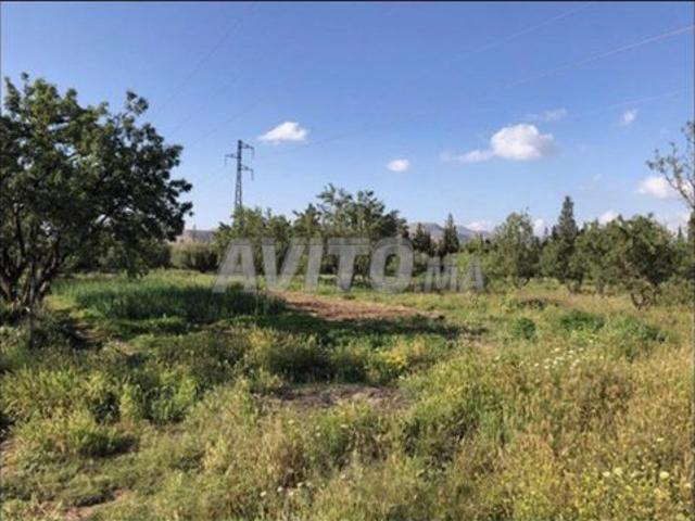 Propriété vente à Ben Slimane