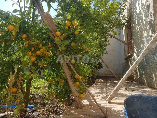 Propriété location à Fès