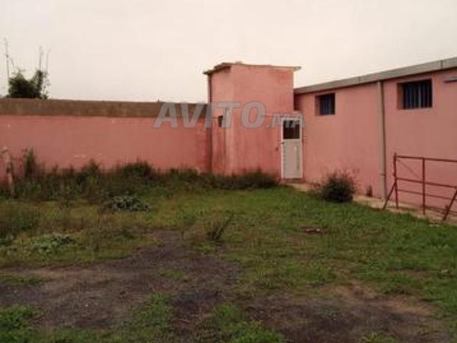 Propriété location à Lyautey