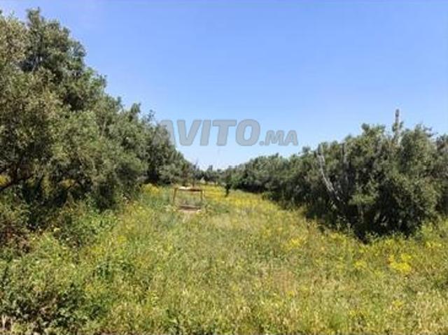 Propriété vente à Nouaceur, Gharb-Chrarda-Beni Hssen