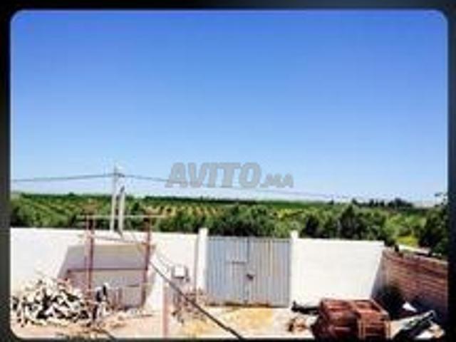 Propriété location à Fès