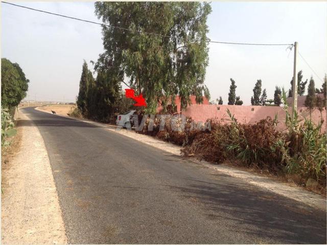 Propriété vente à El Ma, Gharb-Chrarda-Beni Hssen