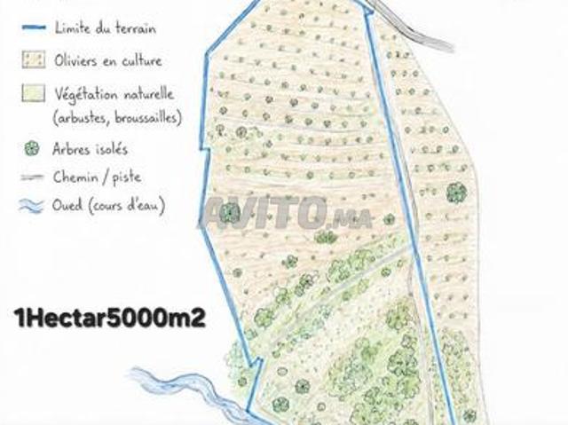 Propriété vente à Khémisset