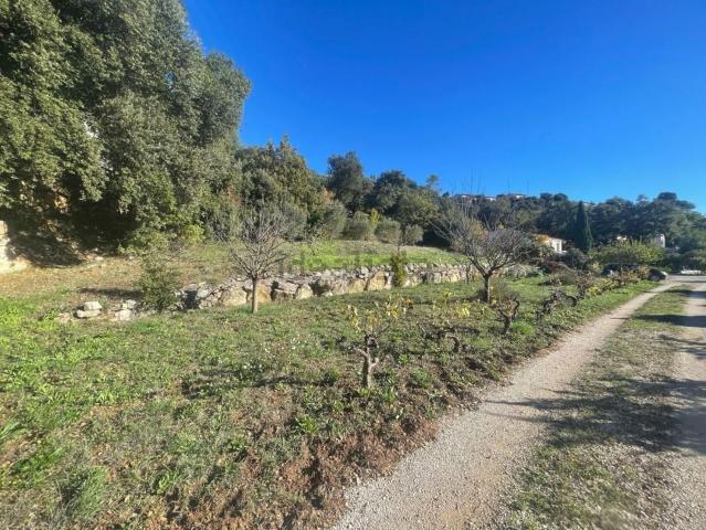 Terrain vente à Flassans-sur-Issole, Var
