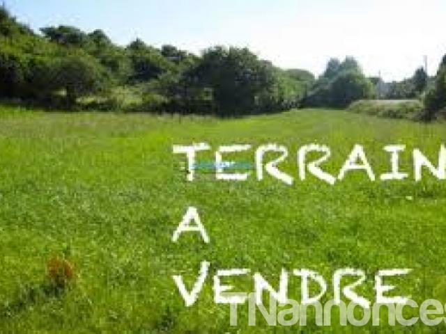 Terrain location