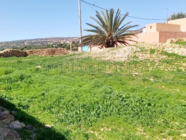 Terrain vente à Agadir, Oued ed Dahab-Lagouira