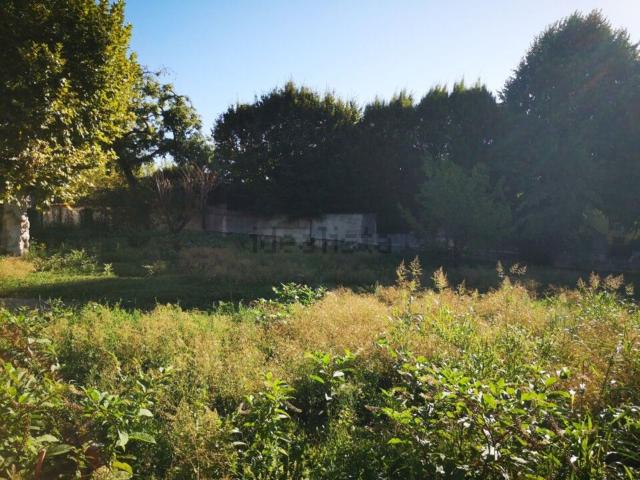 Terrain vente à Le David, Fontaines-Saint-Martin