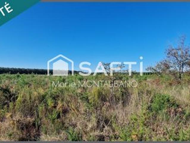 Terrain vente à France métropolitaine, Sanguinet