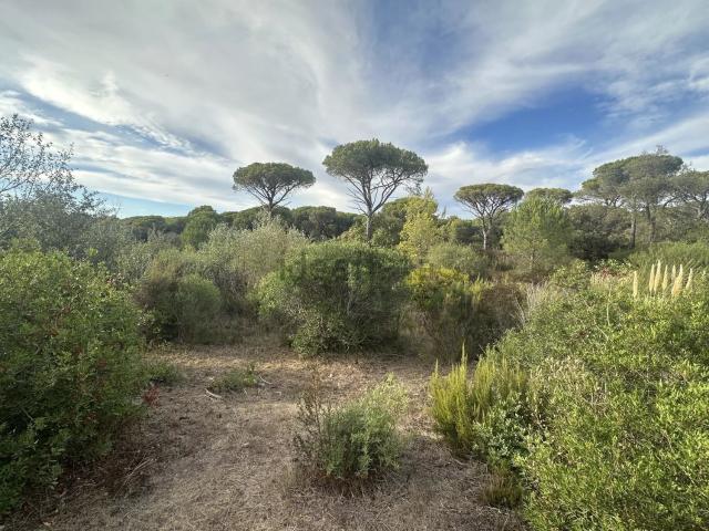 Terrain vente à Fréjus, Var