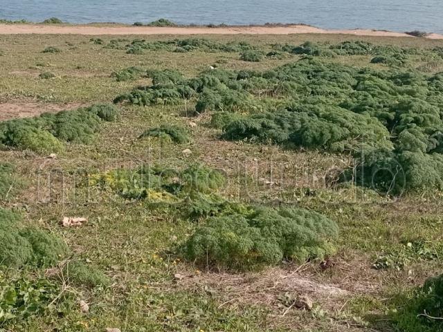 Terrain vente à Gharb-Chrarda-Beni Hssen
