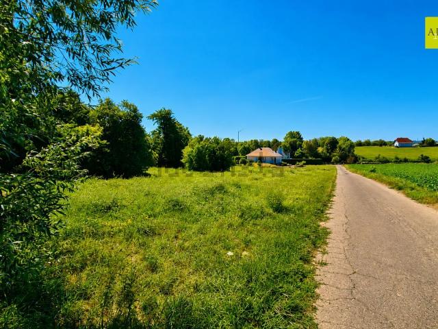 Terrain vente à Geispitzen, Collectivité européenne d'Alsace