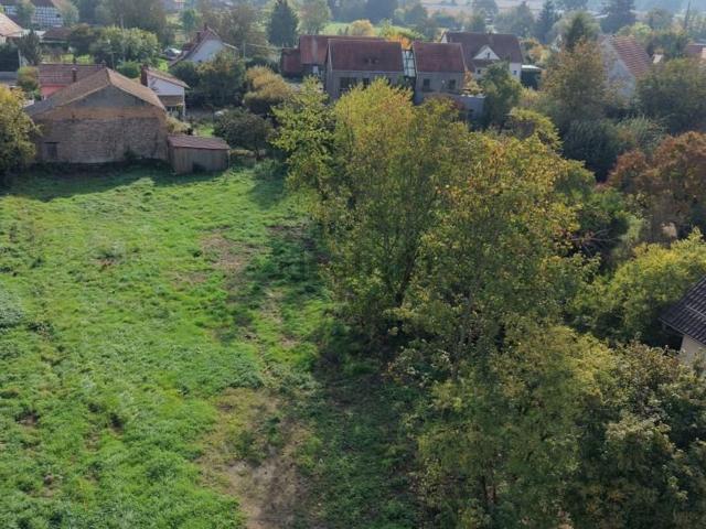 Terrain vente à Geispolsheim, Collectivité européenne d'Alsace