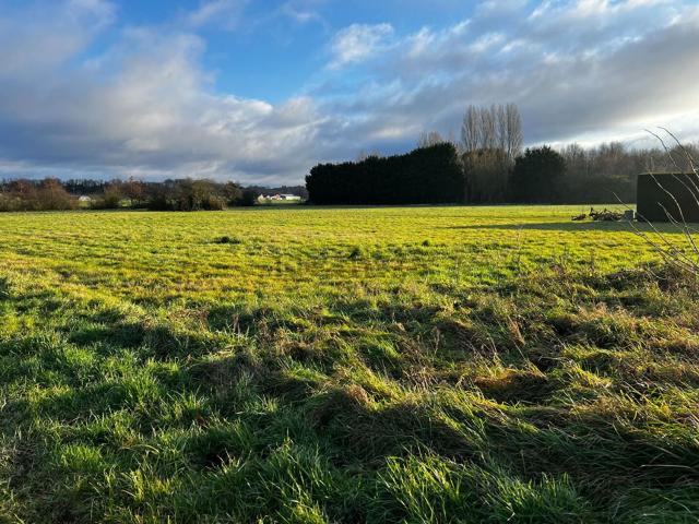 Terrain vente à Germigny-des-Prés, Loiret