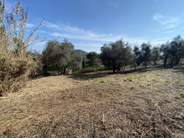 Terrain vente à Grasse, Alpes-Maritimes