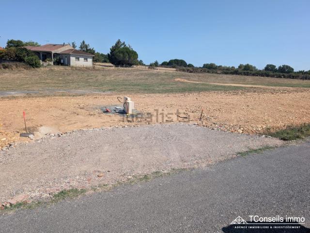 Terrain vente à Pommier Sauvage, Graulhet
