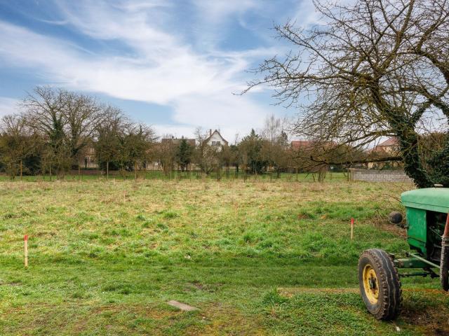 Terrain vente à Grussenheim, Collectivité européenne d'Alsace