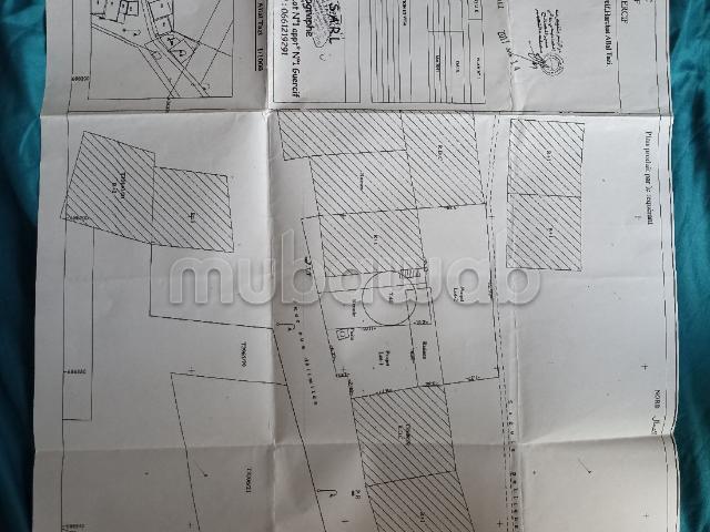 Terrain vente à Guercif