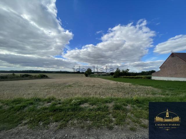 Terrain vente à Lattre-Saint-Quentin, Pas-de-Calais