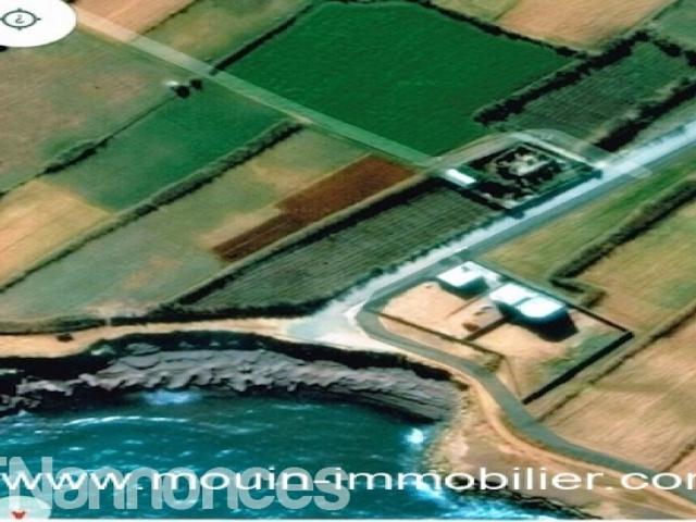 Terrain vente