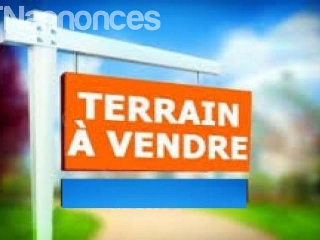 Terrain vente