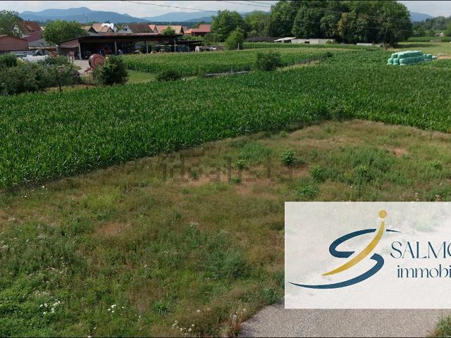 Terrain vente à Heidolsheim, Collectivité européenne d'Alsace