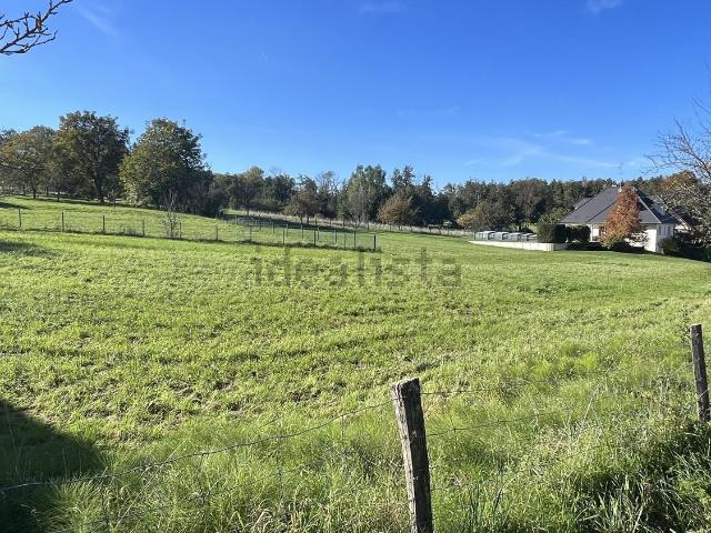 Terrain vente à Helfrantzkirch, Collectivité européenne d'Alsace