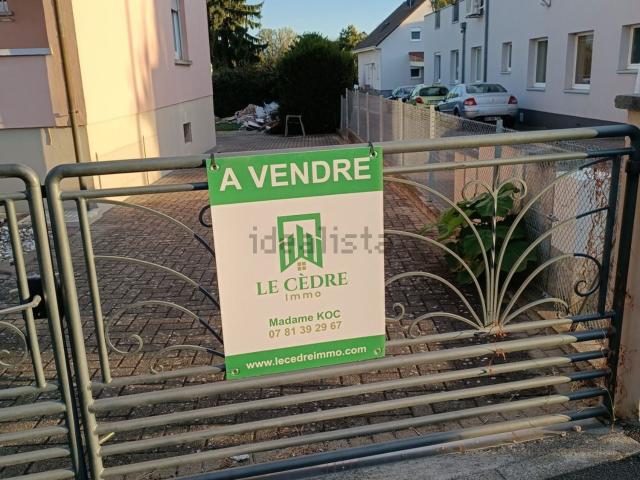 Terrain vente à Hésingue, Collectivité européenne d'Alsace