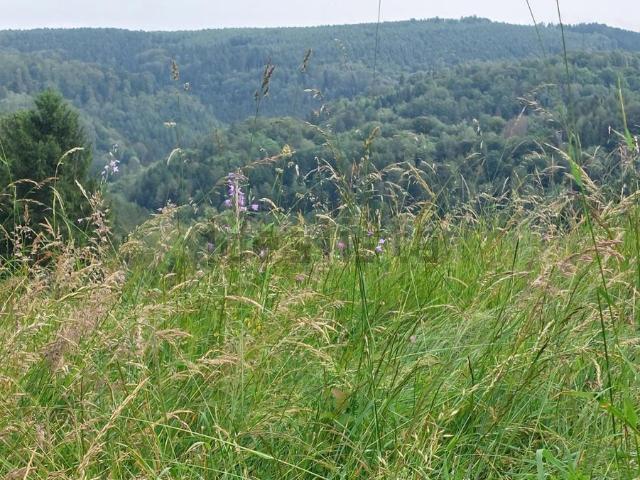 Terrain vente à Hommert, Moselle
