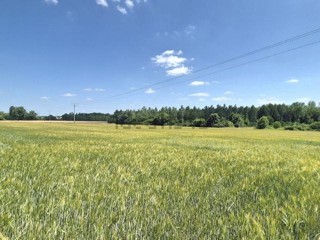 Terrain vente à Huiron, Marne