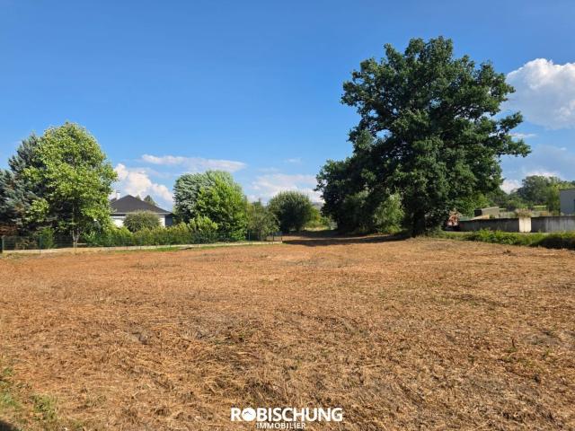 Terrain vente à Hundsbach, Collectivité européenne d'Alsace