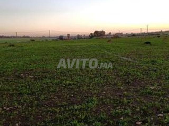 Propriété vente à Sidi Hajjaj Oued Hassar, Gharb-Chrarda-Beni Hssen