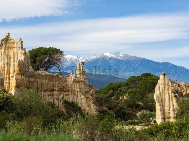 Terrain vente à Ille-sur-Têt, Pyrénées-Orientales