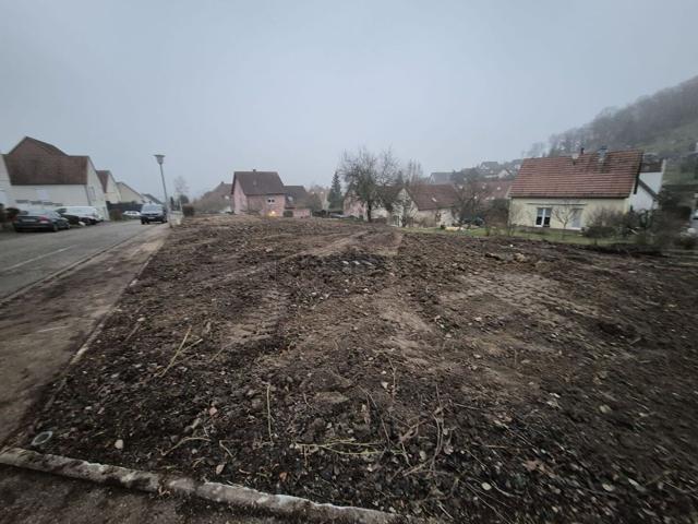 Terrain vente à Illfurth, Collectivité européenne d'Alsace