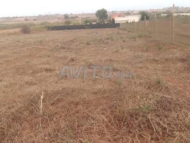 Propriété vente à El Ma, Gharb-Chrarda-Beni Hssen